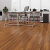 Kashmir Teak - 550